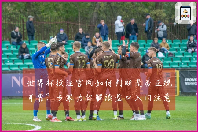 世界杯投注官网如何判断是否正规可靠?专家为你解读盘口入门注意事项